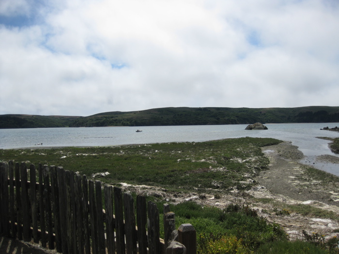 Tomales Bay